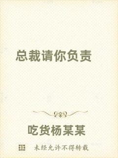 總裁請你負責