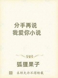 分手再說(shuō)我愛(ài)你小說(shuō)