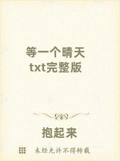 等一個(gè)晴天txt完整版