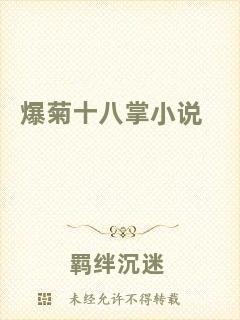 爆菊十八掌小說(shuō)