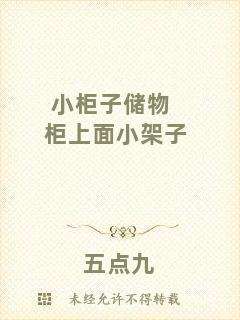 小柜子儲(chǔ)物柜上面小架子