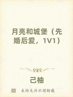 月亮和城堡（先婚后愛，1V1）
